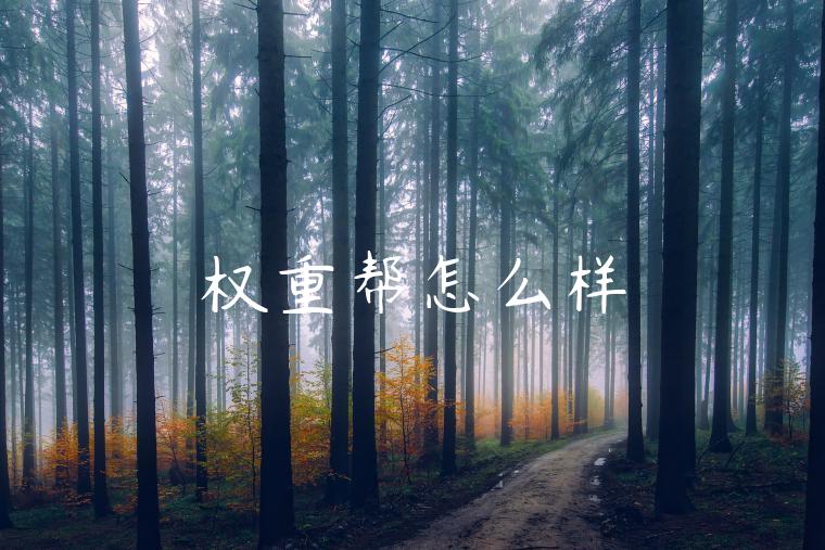 权重帮怎么样 权重帮怎么样