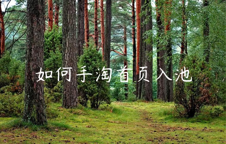 如何手淘首页入池