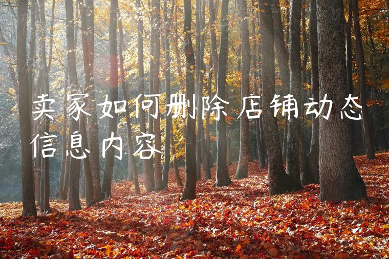 卖家如何删除店铺动态信息内容 卖家如何删除店铺动态信息内容