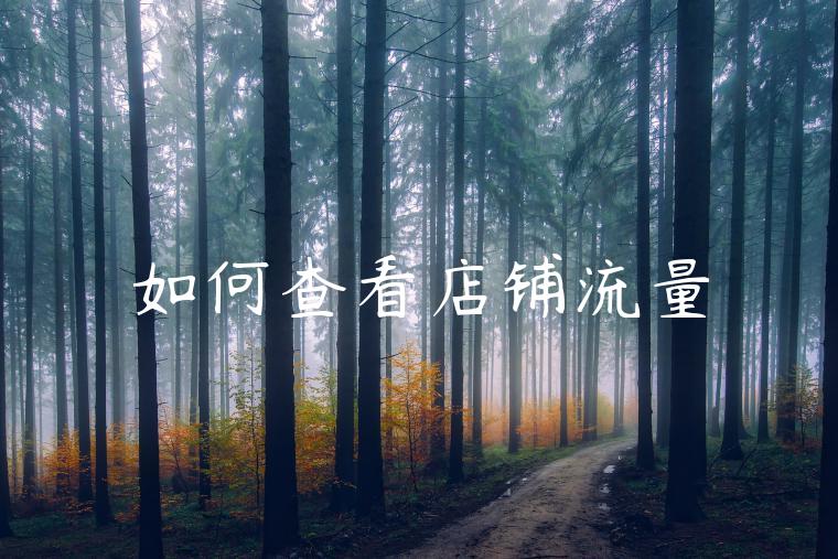 如何查看店铺流量