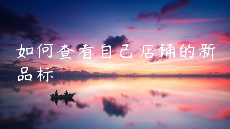 如何查看自己店铺的新品标