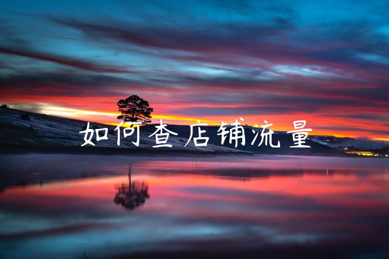 如何查店铺流量