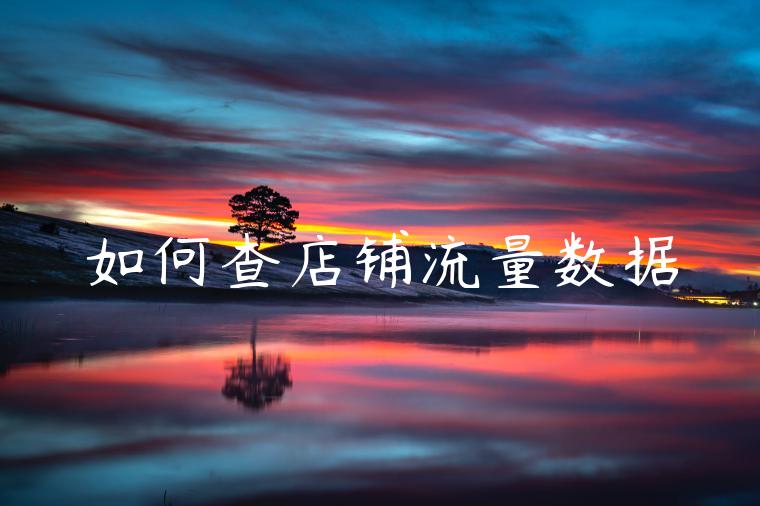 如何查店铺流量数据