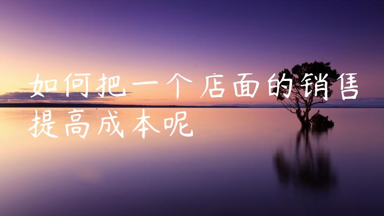 如何把一个店面的销售提高成本呢