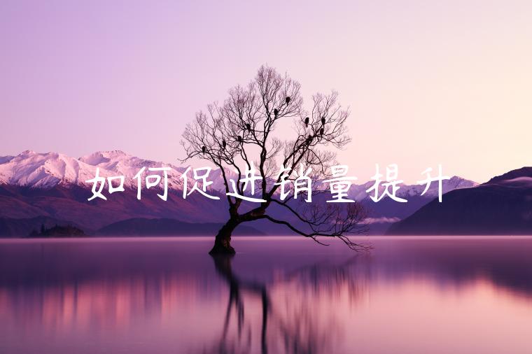 如何促进销量提升 如何促进销量提升