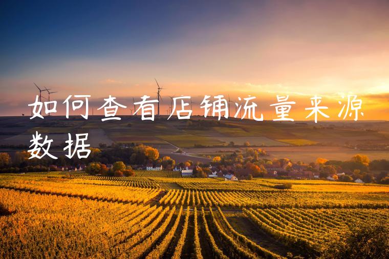 如何查看店铺流量来源数据