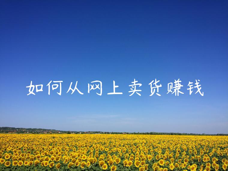 如何从网上卖货赚钱