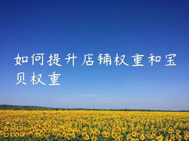 如何提升店铺权重和宝贝权重 如何提升店铺权重和宝贝权重