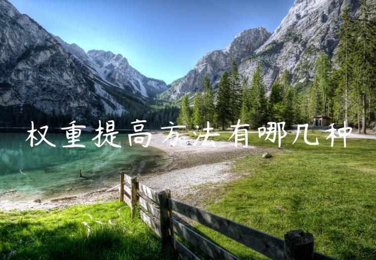 权重提高方法有哪几种