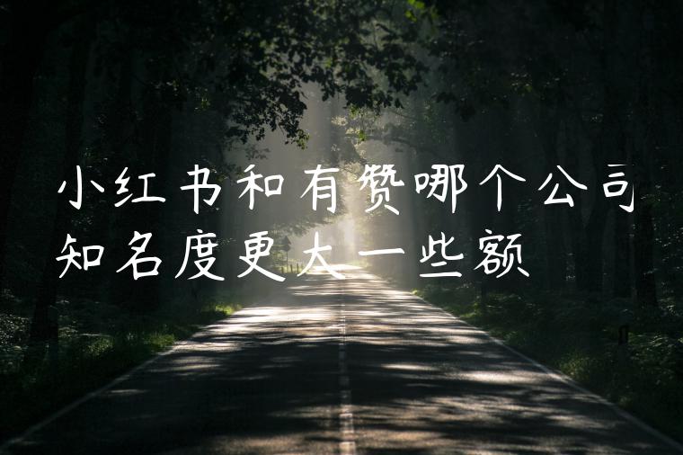 小红书和有赞哪个公司知名度更大一些额 小红书和有赞哪个公司知名度更大一些额