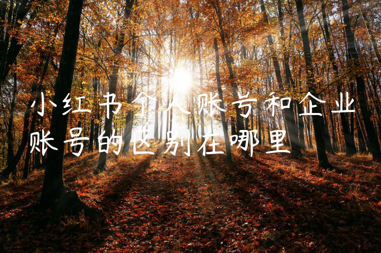 小红书个人账号和企业账号的区别在哪里