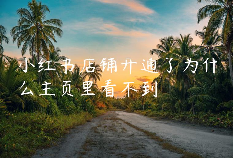 小红书店铺开通了为什么主页里看不到 小红书店铺开通了为什么主页里看不到