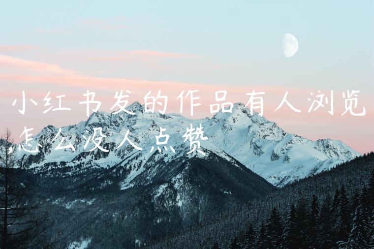 小红书发的作品有人浏览,怎么没人点赞