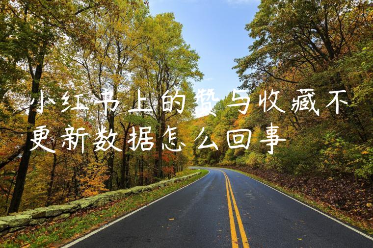 小红书上的赞与收藏不更新数据怎么回事 小红书上的赞与收藏不更新数据怎么回事