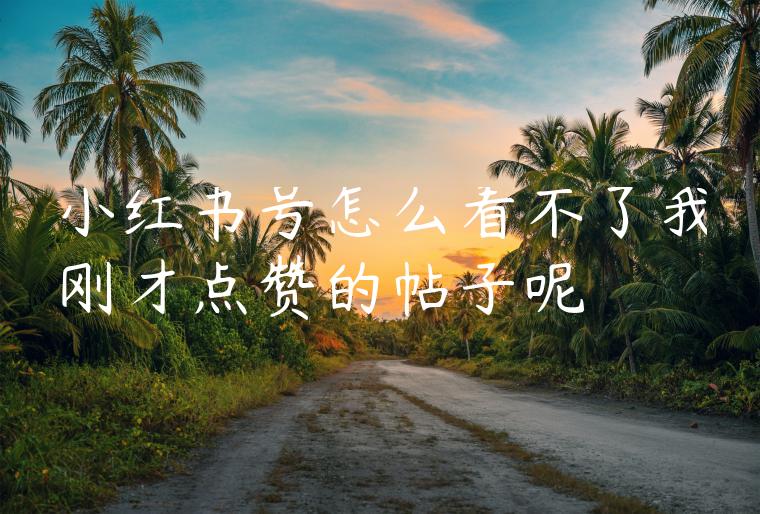 小红书号怎么看不了我刚才点赞的帖子呢