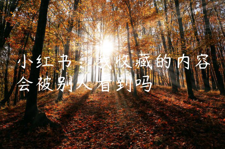 小红书:我收藏的内容会被别人看到吗 小红书:我收藏的内容会被别人看到吗