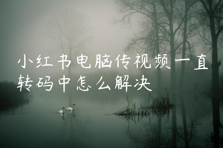 小红书电脑传视频一直转码中怎么解决