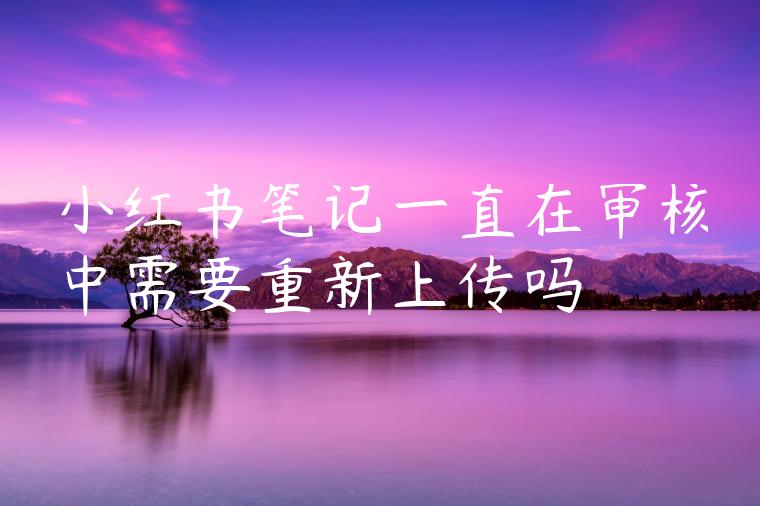 小红书笔记一直在审核中需要重新上传吗 小红书笔记一直在审核中需要重新上传吗