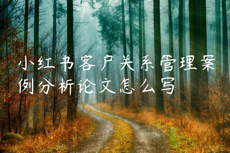 小红书客户关系管理案例分析论文怎么写 小红书客户关系管理案例分析论文怎么写
