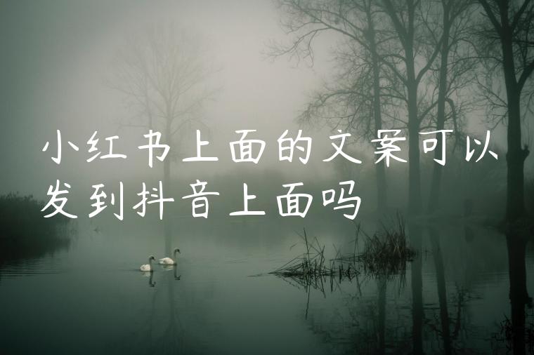 小红书上面的文案可以发到抖音上面吗 小红书上面的文案可以发到抖音上面吗