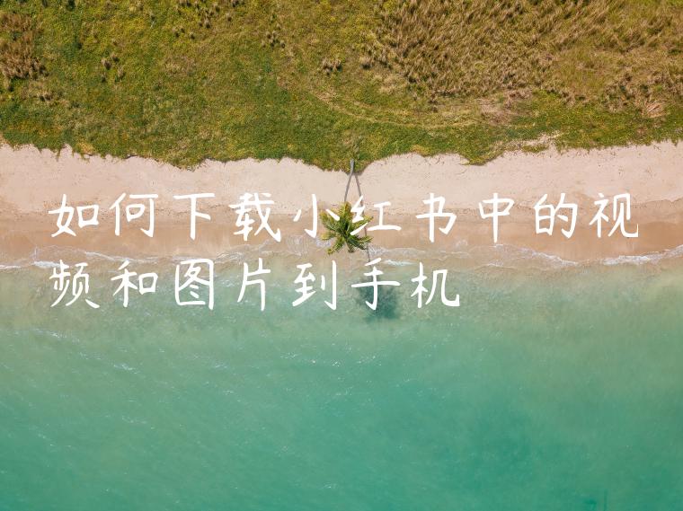 如何下载小红书中的视频和图片到手机 如何下载小红书中的视频和图片到手机