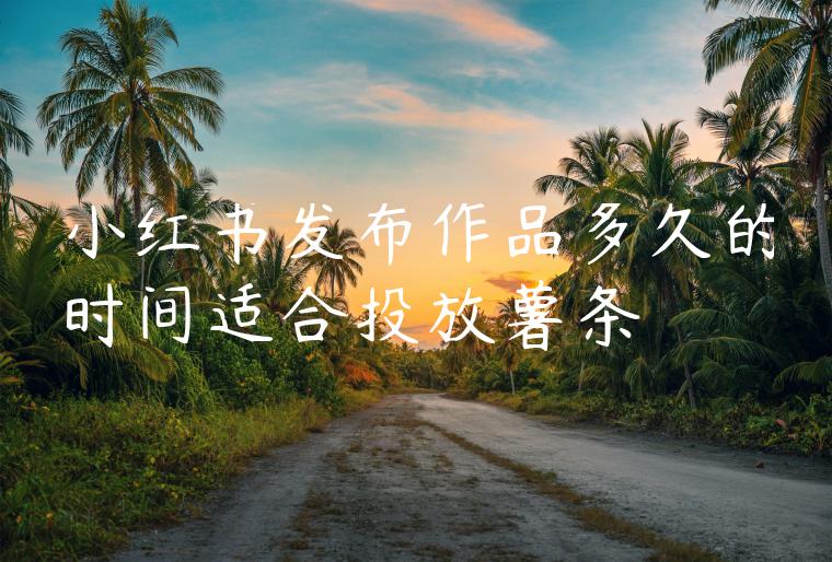 小红书发布作品多久的时间适合投放薯条