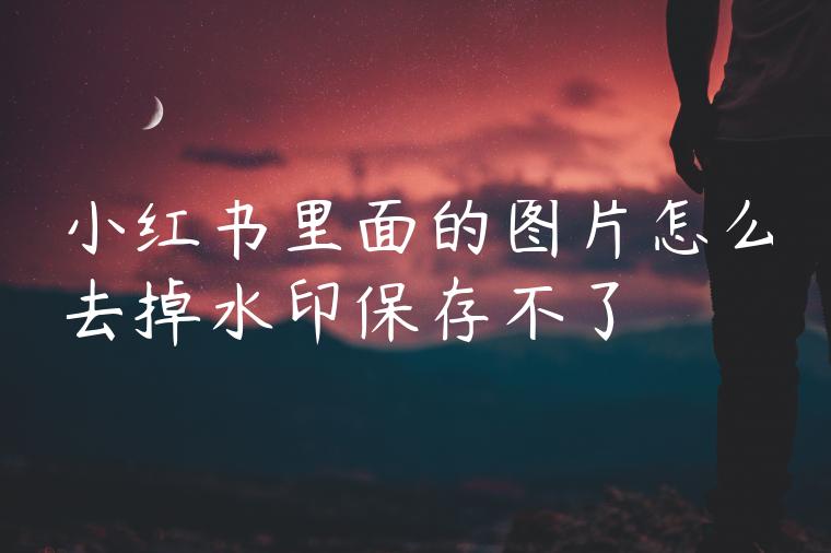 小红书里面的图片怎么去掉水印保存不了 小红书里面的图片怎么去掉水印保存不了