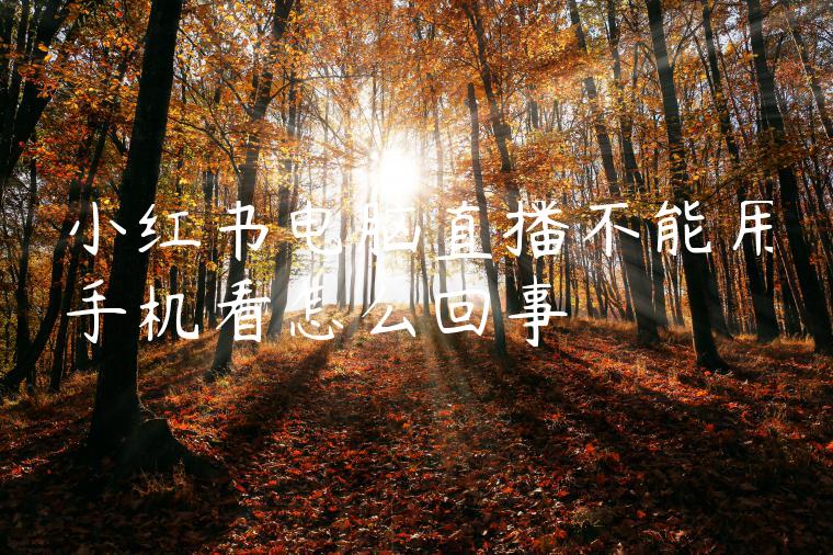 小红书电脑直播不能用手机看怎么回事