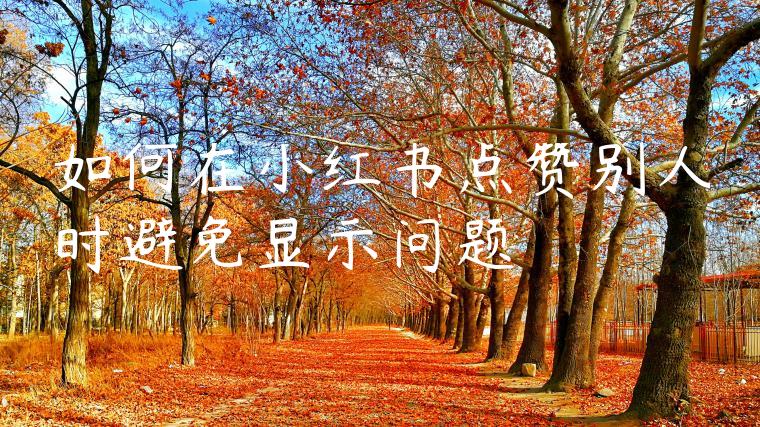 如何在小红书点赞别人时避免显示问题 如何在小红书点赞别人时避免显示问题
