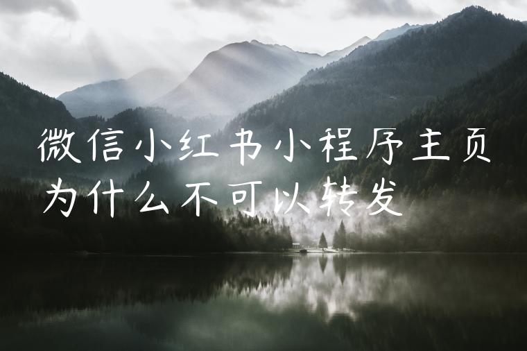 微信小红书小程序主页为什么不可以转发