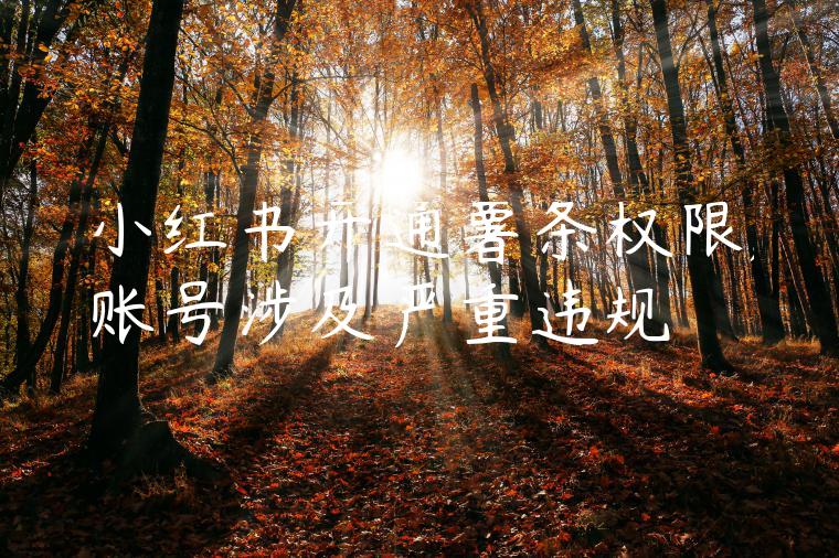 小红书开通薯条权限,账号涉及严重违规