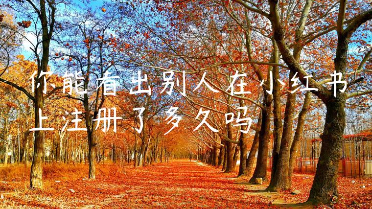 你能看出别人在小红书上注册了多久吗