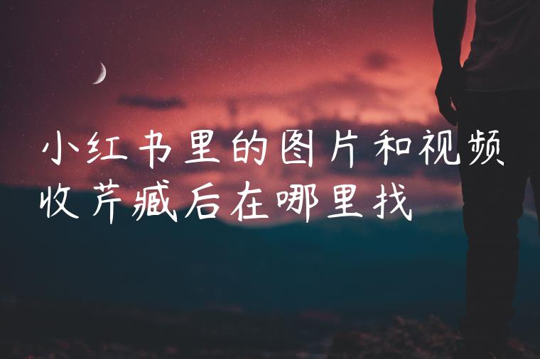 小红书里的图片和视频收芹臧后在哪里找 小红书里的图片和视频收芹臧后在哪里找
