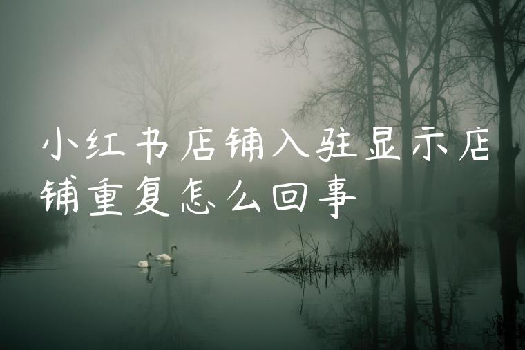 小红书店铺入驻显示店铺重复怎么回事 小红书店铺入驻显示店铺重复怎么回事