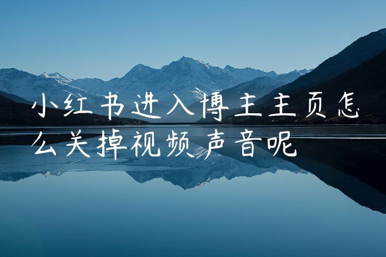 小红书进入博主主页怎么关掉视频声音呢