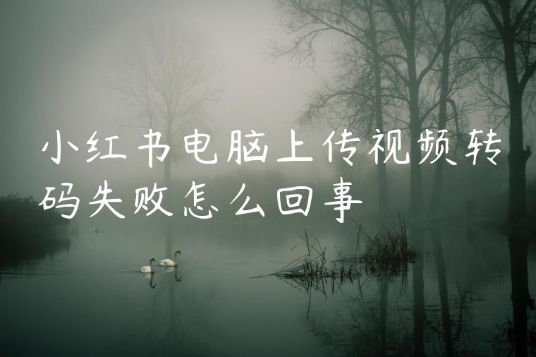 小红书电脑上传视频转码失败怎么回事 小红书电脑上传视频转码失败怎么回事