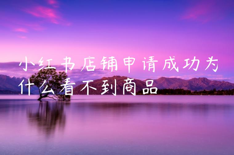 小红书店铺申请成功为什么看不到商品