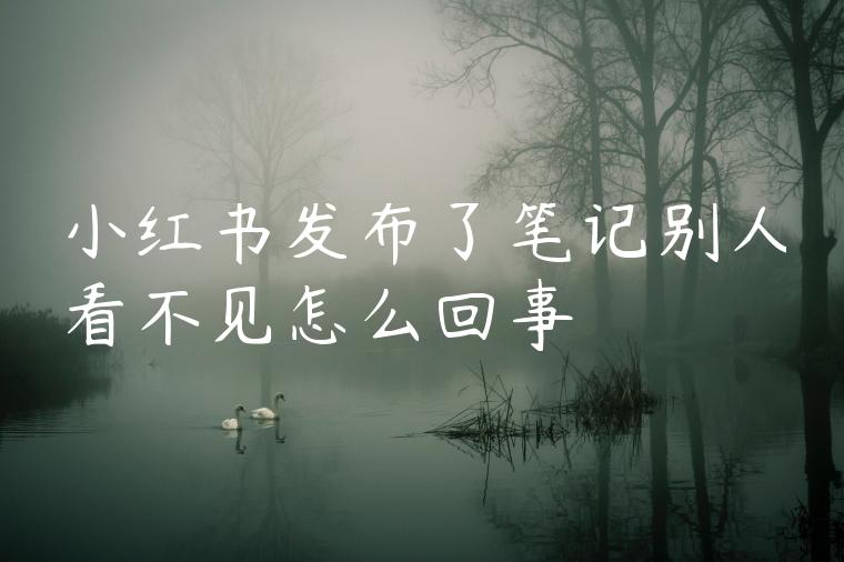 小红书发布了笔记别人看不见怎么回事 小红书发布了笔记别人看不见怎么回事