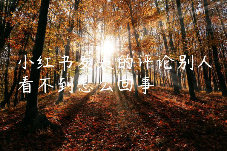 小红书发表的评论别人看不到怎么回事 小红书发表的评论别人看不到怎么回事