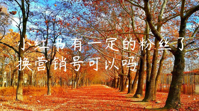 小红书有一定的粉丝了换营销号可以吗
