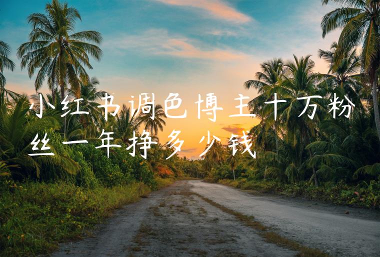 小红书调色博主十万粉丝一年挣多少钱