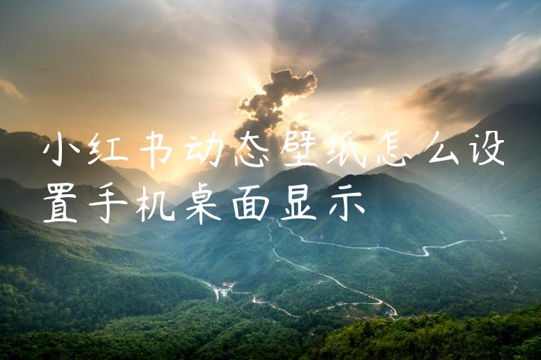 小红书动态壁纸怎么设置手机桌面显示