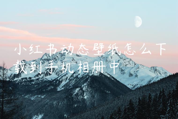 小红书动态壁纸怎么下载到手机相册中