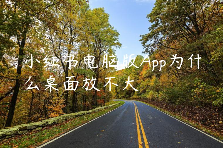 小红书电脑版App为什么桌面放不大 小红书电脑版App为什么桌面放不大