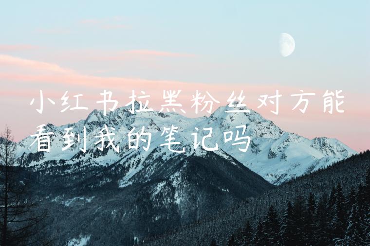 小红书拉黑粉丝对方能看到我的笔记吗