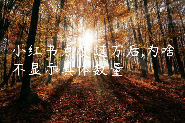 小红书点赞过万后,为啥不显示具体数量 小红书点赞过万后,为啥不显示具体数量