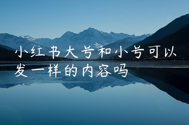 小红书大号和小号可以发一样的内容吗