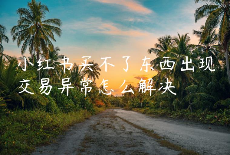 小红书买不了东西出现交易异常怎么解决