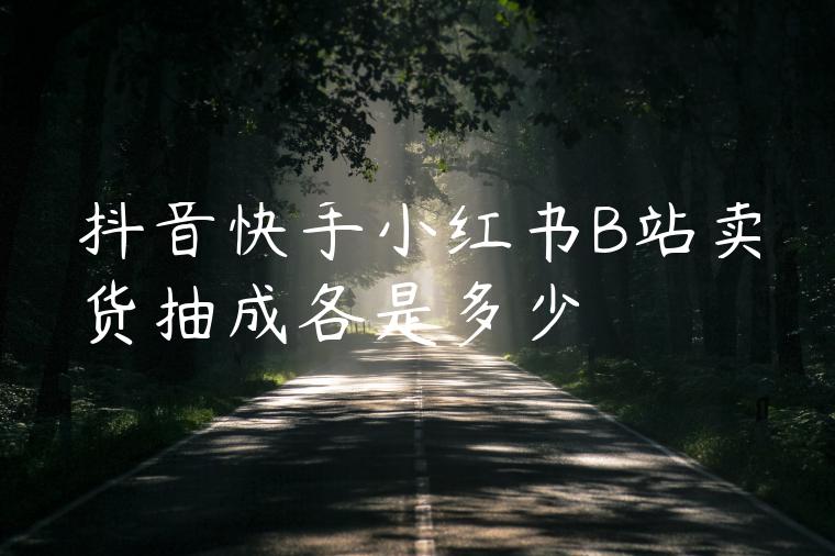 抖音快手小红书B站卖货抽成各是多少