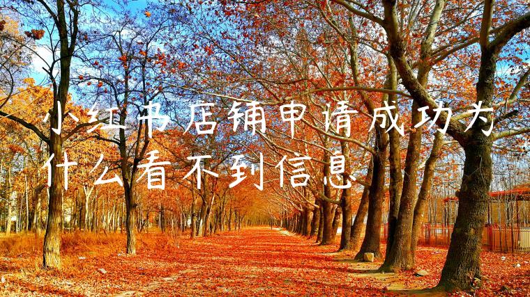 小红书店铺申请成功为什么看不到信息 小红书店铺申请成功为什么看不到信息